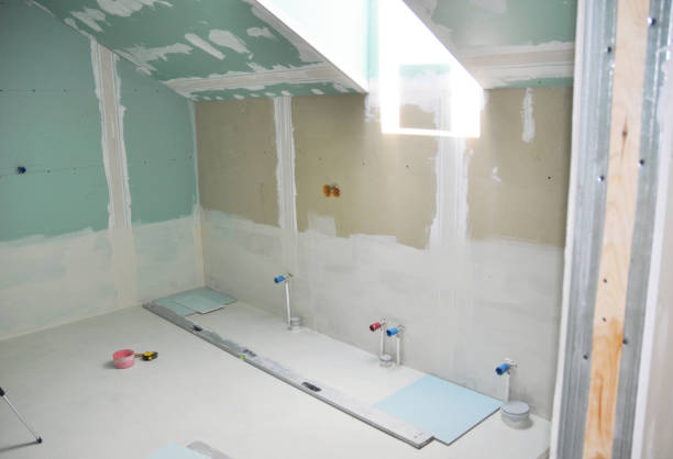 Best Basement Mold Removal  in Columbus, NE