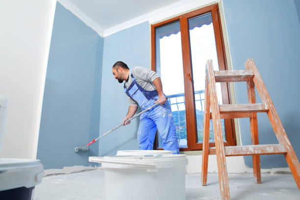 Best Mold Odor Removal Services  in Columbus, NE