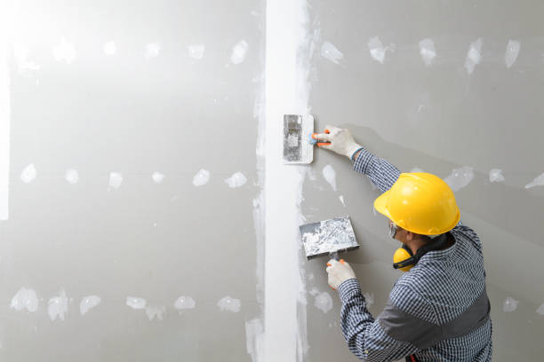 Best Black Mold Removal  in Columbus, NE